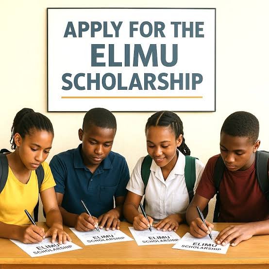 How To Apply For Elimu Scholarship Programme